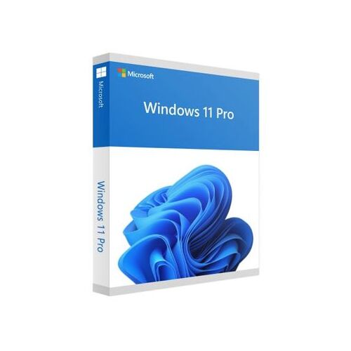 Windows 11 Professional Retail