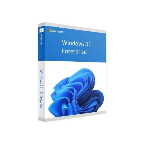 Windows 11 Entreprise