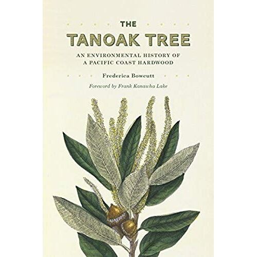 The Tanoak Tree