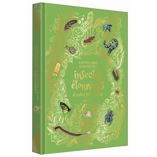 L'anthologie Illustrée Des Insectes Étonnants Et Autres Petites Bêtes