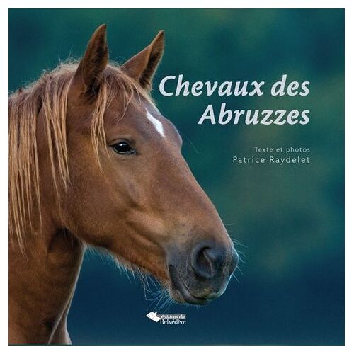 Chevaux Des Abruzzes - Entre Loups Et Ours