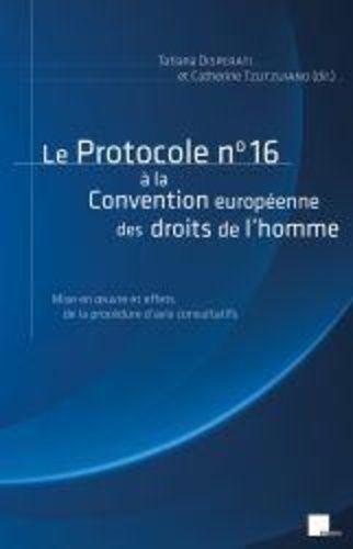 Le Protocole N° 16 À La Convention Européenne Des Droits De L'homme - Mise En Oeuvre Et Effets De La Procédure D'avis Consultatifs