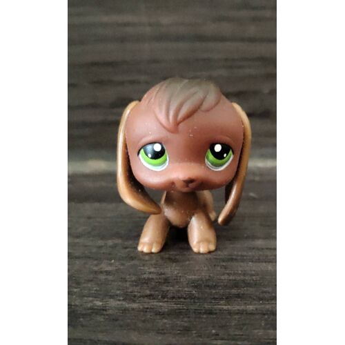 Petshop Chien Brun Yeux Verts