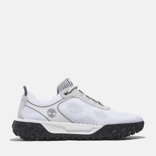 Timberland Basket Basse Lacets Greenstride Motion 6 Pour En Blanc Blanc