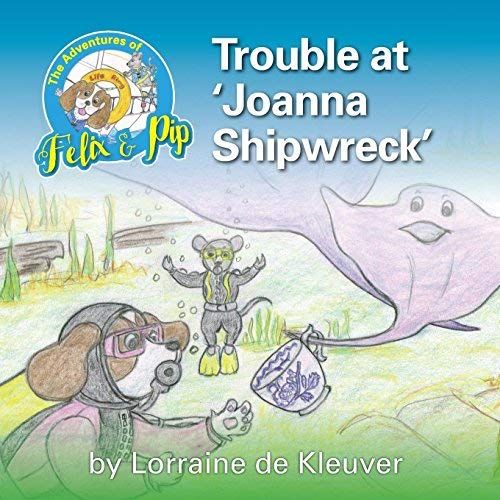 Trouble At 'joanna Shipwreck