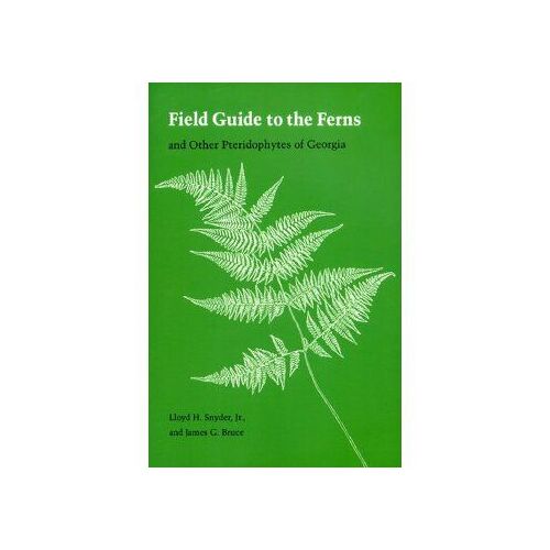 Field Guide To The Ferns