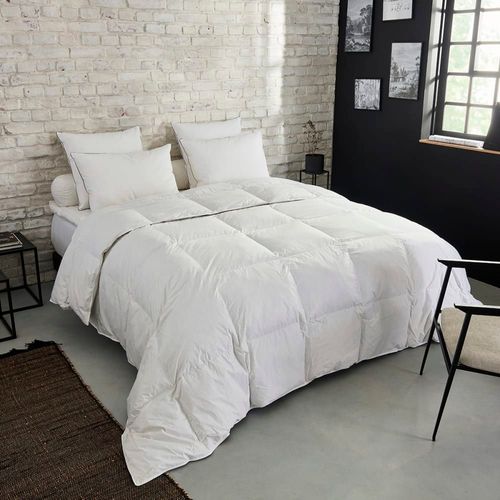 Couette Premium Naturelle Tempérée - 30% Duvet 200x200 Cm