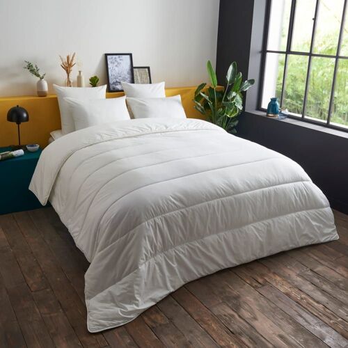 Couette Chaude Extra-Douce - Coton Bio 240x260 Cm