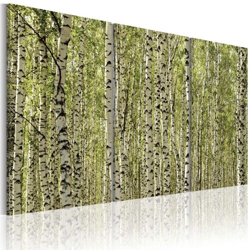 Tableau Imprimé "Forêt de Bouleaux" 40 x 60 cm