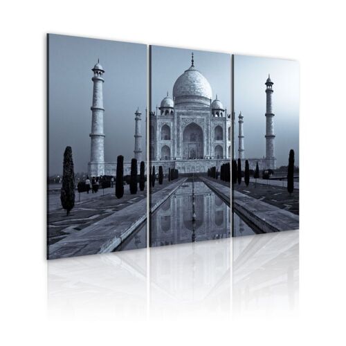 Tableau Imprimé "Taj Mahaj By Night, India" 80 x 120 cm