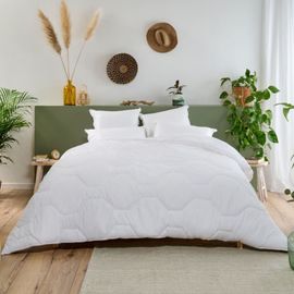 Couette Très Chaude 220x240cm 500gr/M2