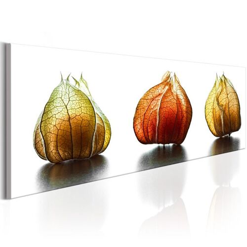 Tableau Imprimé "Winter Cherry" 40 x 120 cm