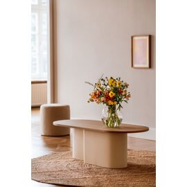 Table basse ovale en chêne, placage et acier, beige