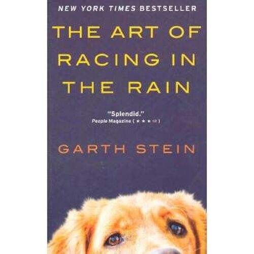 The Art Of Racing In The Rain