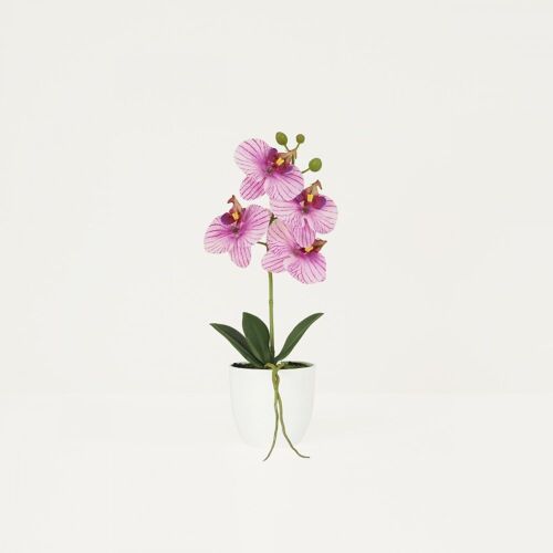 Orchidée Artificielle Veinée 35cm