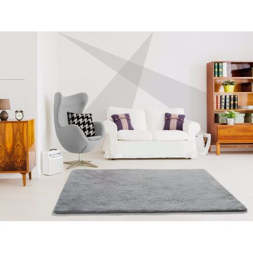 Tapis Gris Clair, 200x290 Cm