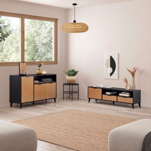 Meuble TV 1 porte et 2 tiroirs, couleur Noir/Bois