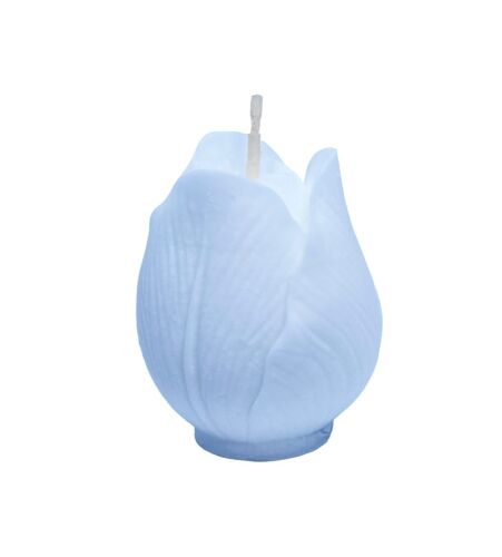 Lot 5 bougies Fleur multicolore H5