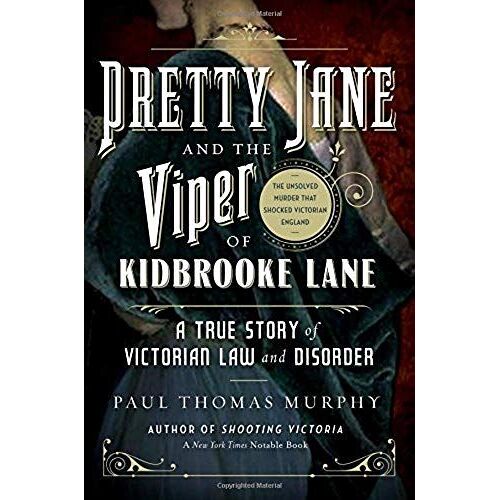 Pretty Jane And The Viper Of Kidbrooke Lane: A True Story Of Victorian Law And Disorder: The Unsolved Murder That Shocked Victorian England