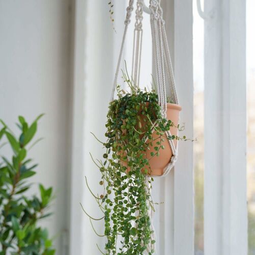 Jardinière Suspendue En Polycoton Beige, H 80 Cm