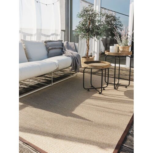 Tapis D'extérieur & Intérieur Beige 120x170
