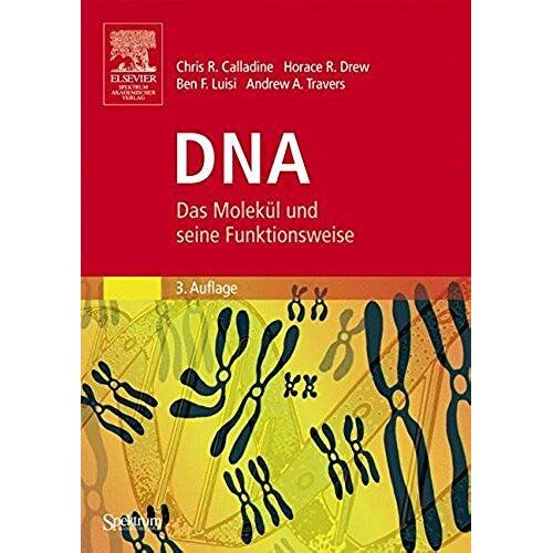 Dna: Das Molekül Und Seine Funktionsweise