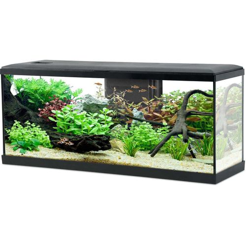 Kit Aquarium Tana 120l