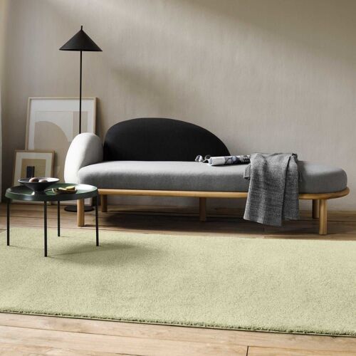 Tapis Uni Intemporel Vert Pistache Pour Salon, Chambre 225x160