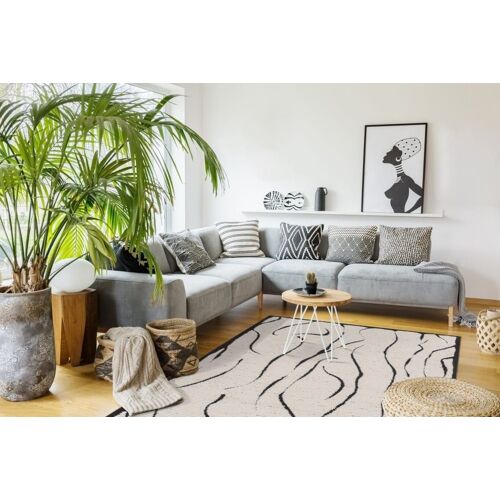 Tapis Ultra Doux Effet Sculpté Noir 160 X 230