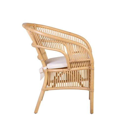 Fauteuil En Rotin Beige Avec Coussin