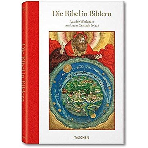 Die Bibel In Bildern
