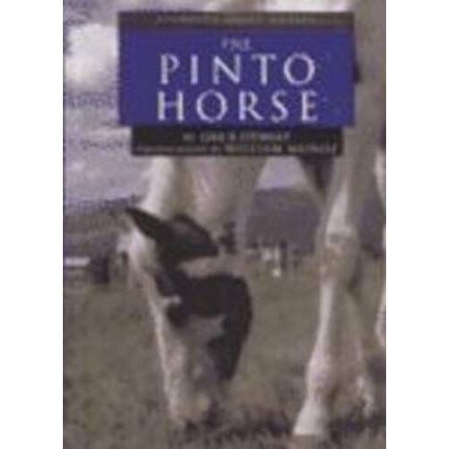 The Pinto Horse (Learning About Horses)