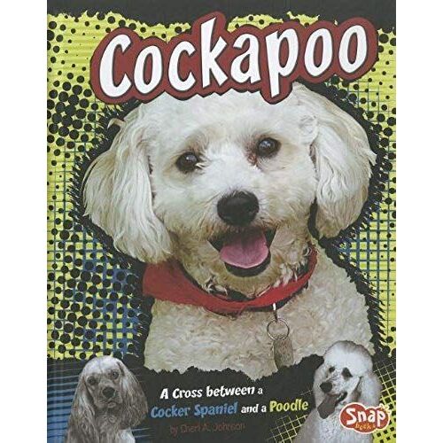 Cockapoo