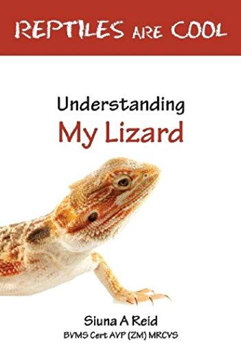 Reptiles Are Cool- Understanding My Lizard