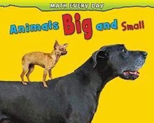 Animals Big And Small