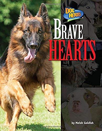 Brave Hearts