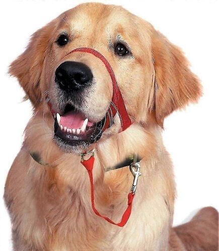 Collier De Tête De Chien, Pas D'outil De Dressage De Traction Pour Les Chiens Qui Promènent, Comprend Un Guide De Formation Gratuit, Xl