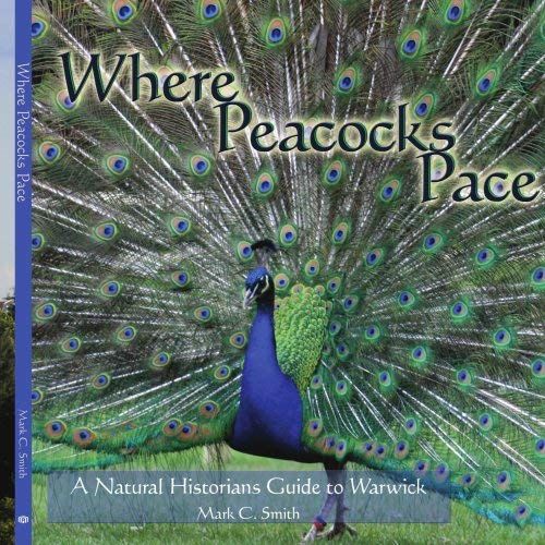Where Peacocks Pace