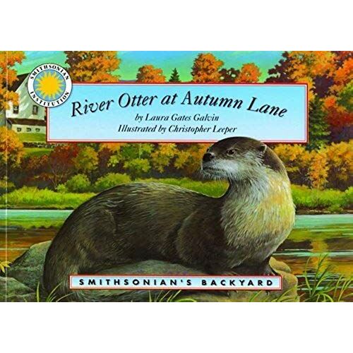 River Otter At Autumn Lane (Smithsonian's Backyard)