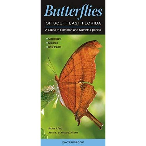 Butterflies Of Southeast Florida: A Guide To Common & Notable Species (Quick Reference Guides)