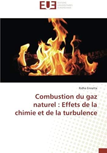 Combustion Du Gaz Naturel : Effets De La Chimie Et De La Turbulence