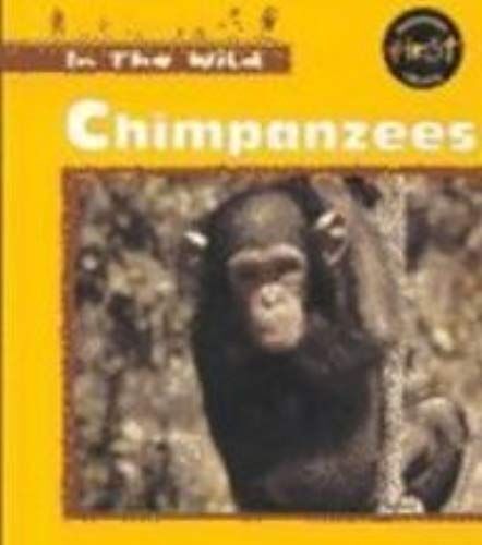 Chimpanzees (In The Wild)