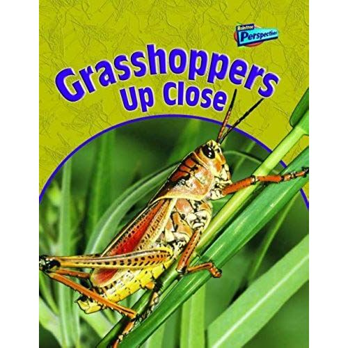Grasshoppers Up Close