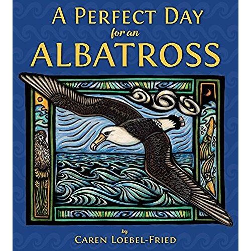 A Perfect Day For An Albatross