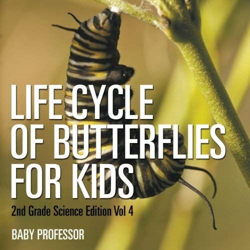 Life Cycle Of Butterflies For Kids | 2nd Grade Science Edition Vol 4