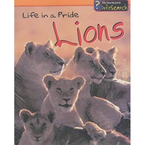 Animal Groups: Life In A Pride Of Lions Hardback