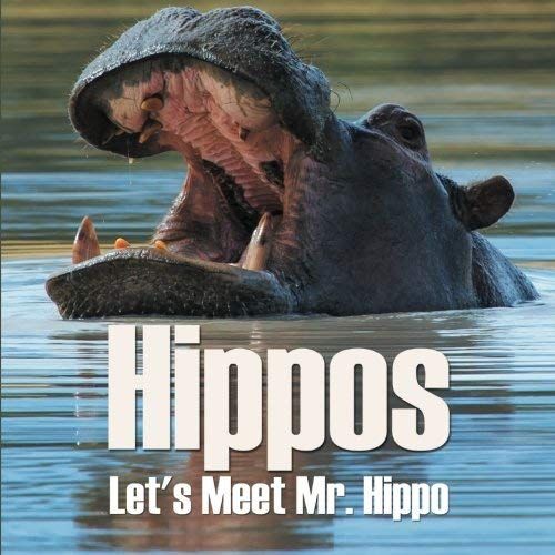 Hippos - Let's Meet Mr. Hippo
