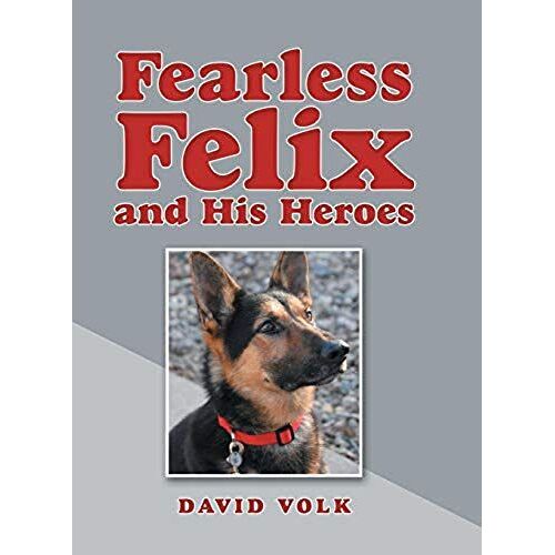 Fearless Felix And His Heroes