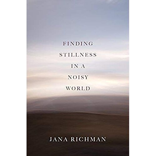 Finding Stillness In A Noisy World