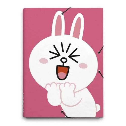 Dossier A Rabat Line Friends